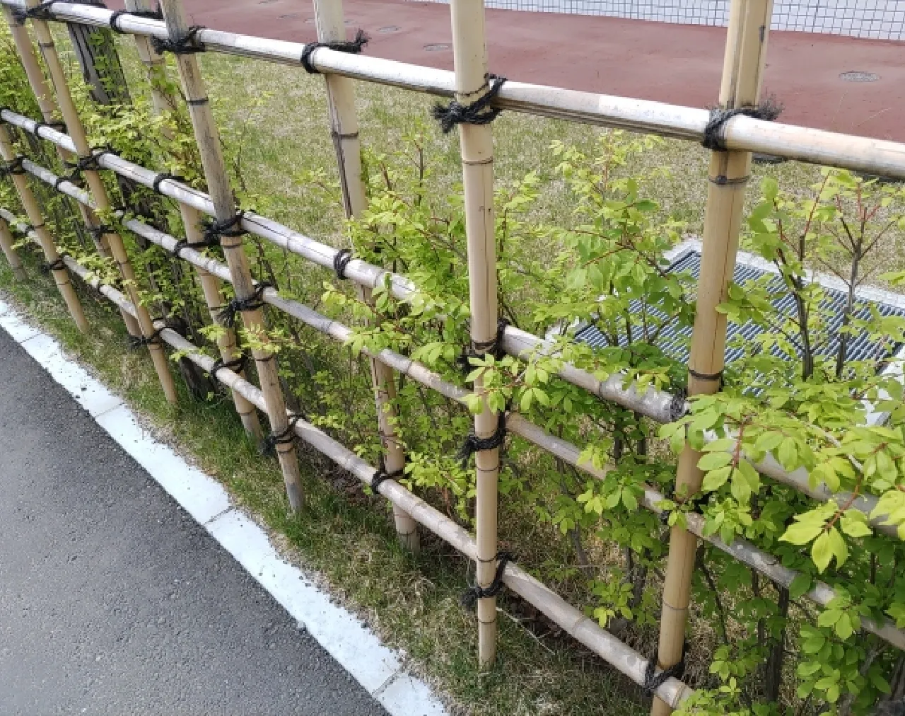 庭の雑草対策のための柵